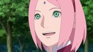 Sakura (Image via Pierrot)